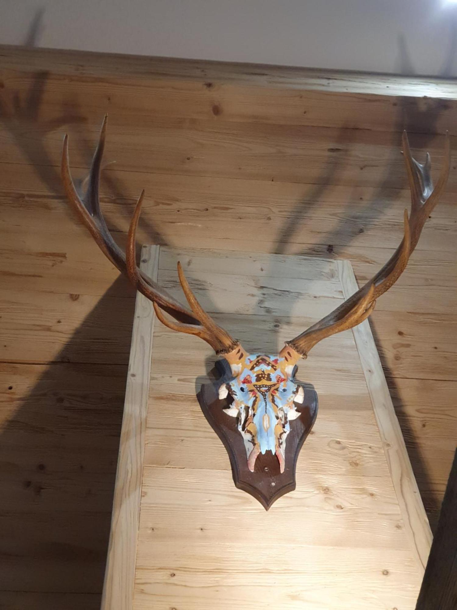 Gæstehus Wlodgeone *
